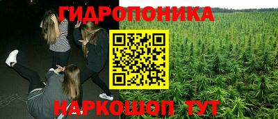 бошки Аргун
