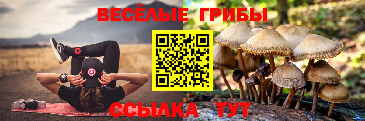 Аша  Галлюциногенные грибы ЛСД  Вход с VPN  Галлюциногенные грибы ЛСД 