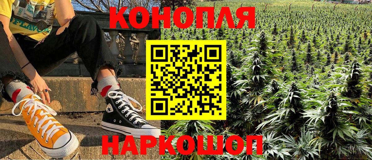 Шишки марихуана семена Аша
